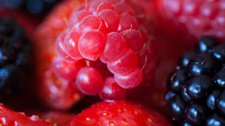 Berries closeup macro photorealism blurry - arcimboldo free wallpaper