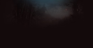 Dark forest light person walking - a flashlight free wallpaper for desktop