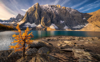 Tree rocks lake mountains sunset - the top free wallpaper