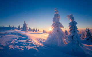 Snowy landscape trees sunshine clouds - the cloud free wallpaper