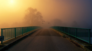 Foggy bridge bench birds cityscape - foggy free wallpaper