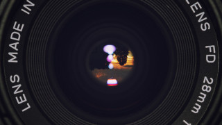 Lens tree fisheye beeple microscopic - fisheye len free wallpaper