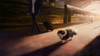 Dog suitcase train platform man - a suitcase free wallpaper