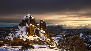 Snowy mountain clouds foreground trees - a few bush free wallpaper