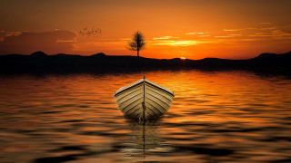 Sunset lake boat tree bird - tranquil free wallpaper