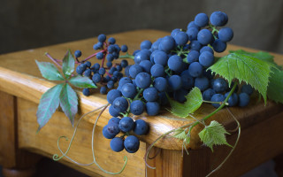 Grapes leaves wooden table butterfly - caravaggio free wallpaper