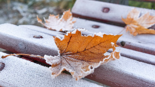 Leaf bench snow park winter - a bench in the snow free wallpaper