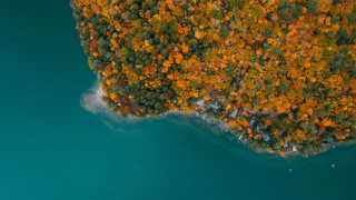 Boat trees autumn leaves sky - floating free wallpaper