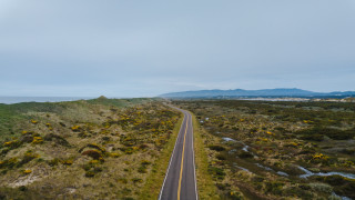 Lush green field yellow flowers 5 - anne rigney free wallpaper