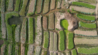 Field pond rock grass dirt - grass and dirt free wallpaper
