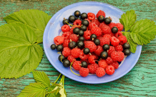 Berries leaves plate table outdoors - free hearts wallpaper