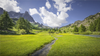 Stream green field forest mountains - tree and mountains free wallpaper for desktop