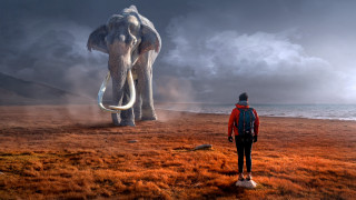 Man elephantstatue field cloudy sunset - a field next free wallpaper