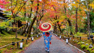 Woman umbrella park autumn leaves - the background and a path free wallpaper