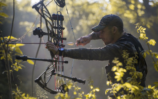Man aiming bow woods dandelion - david boyd free wallpaper