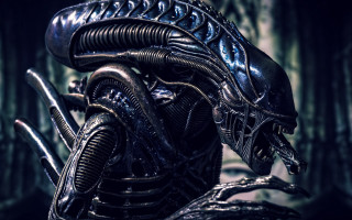 Alien forest mystery sharp teeth - neoprimitivism free wallpaper