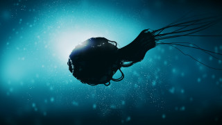 Jellyfish ocean tentacles ambient occlusion - back end free wallpaper for desktop