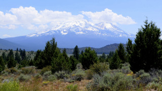Mountain snow capped peak forest 2 - peak in the distance free wallpaper