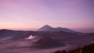 Mountain fog clouds dusk pink - a few tree below free wallpaper