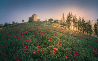 Hill house autumn flower cityscape - the far side free wallpaper