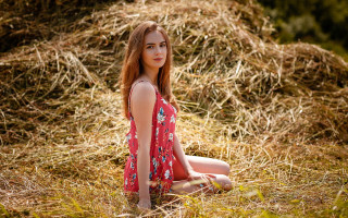 Woman sitting hay field crossed - free forest wallpaper