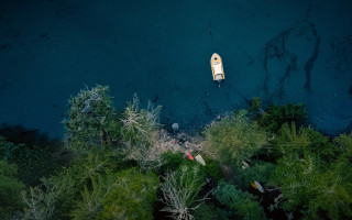 Boat forest water fireflies night - floating free wallpaper