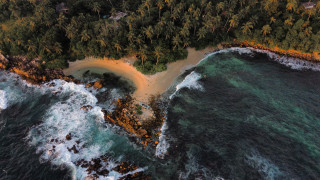 Aerial beach ocean palm trees - a sandy beach free wallpaper