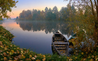Canoe lake shore autumn forest - a canoe free wallpaper