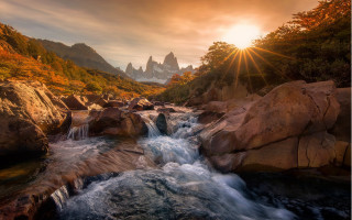 Lush green forest hillside mountain 2 - hillside next free wallpaper