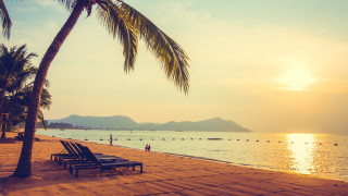 Beach palm tree sunset lounge - beach free wallpaper