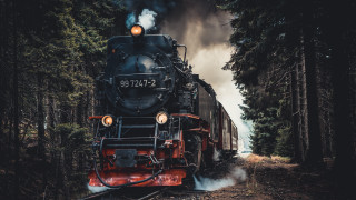 Train forest smoke cinematic aurora - a train traveling free wallpaper