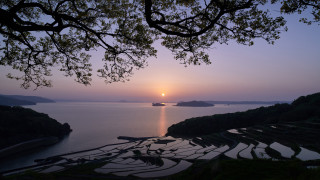 Sunset lake boat tree autumn - canon eos r 3 free wallpaper