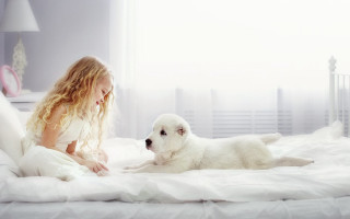 Girl dog bed room white - a bed together free wallpaper