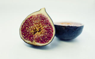 Half figurine macro food gradient - a white surface free wallpaper for desktop