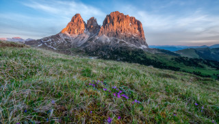 Grassy field flowers mountains sunset - romanesque free wallpaper