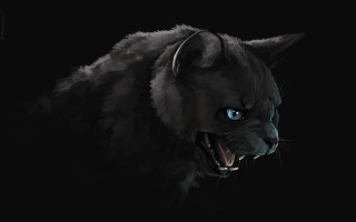 Black cat blue eyes snarling - a black cat free wallpaper
