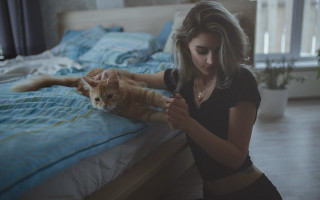 Woman petting cat bedroom blue - a large window free wallpaper for desktop