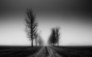 Dirt road field trees distance - mist free wallpaper