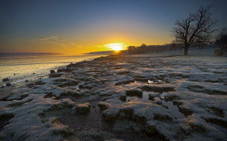 Snowy beach dusk trees water - the background and trees free wallpaper