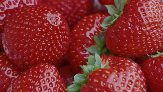 Strawberry closeup greenleaves redberries macro - strawberry free wallpaper