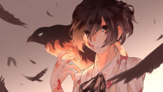 Woman bird bleeding wings shameimaru - vanita free wallpaper for desktop