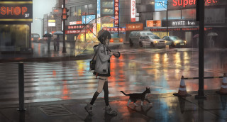Woman dog rainy city umbrella - rainy free wallpaper