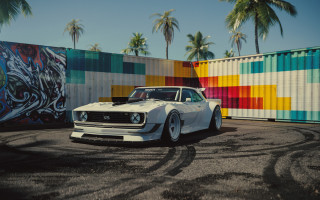 White mustang colorful wall palm - a white mustang free wallpaper