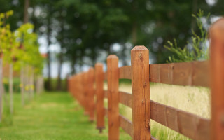 Fence grass trees blurry bokeh - grass and trees free wallpaper