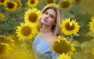 Sunflower field woman portrait blurry - portrait photography free wallpaper