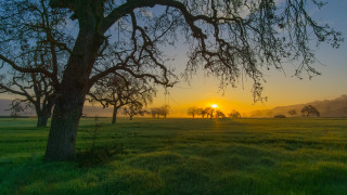 Autumn foggy sunset trees lake - tree and a sun free wallpaper