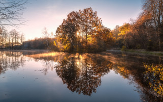 Lake reflective autumn leaves trees - reflective free wallpaper
