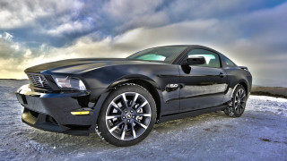 Black mustang snowy hill cloudy - matte finish free wallpaper