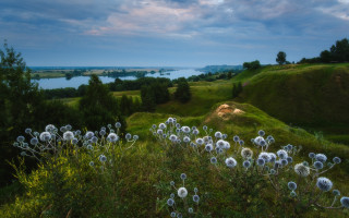 Dandelion field lake mountains cloudy - artur tarnowski free wallpaper for desktop