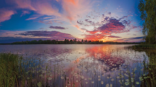 Sunset lake lily pads mystic - lily pad free wallpaper